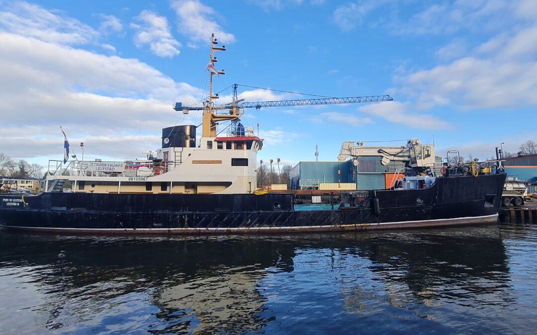 Zeekadetkorps Lelystad op zoek naar bestuursleden  